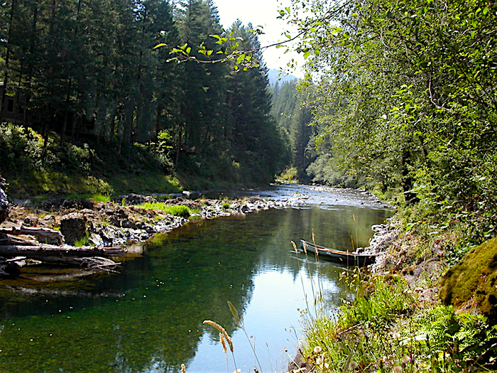 Views of Nature as Neighbors East Fork Lewis River